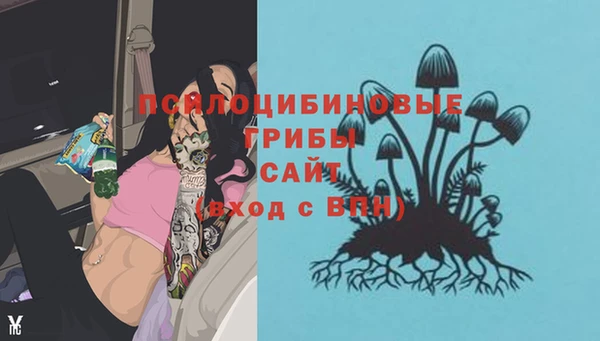 ешки Алексеевка