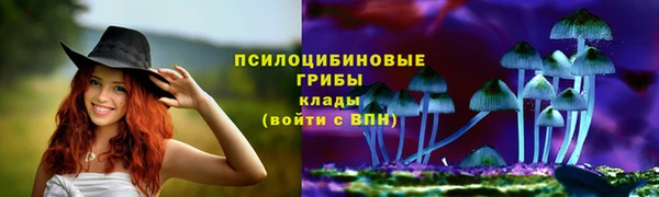 ешки Алексеевка