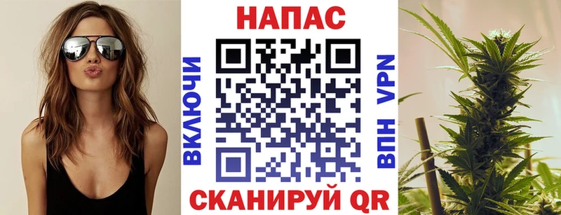 Конопля ГИДРОПОН  как найти наркотики  Задонск 